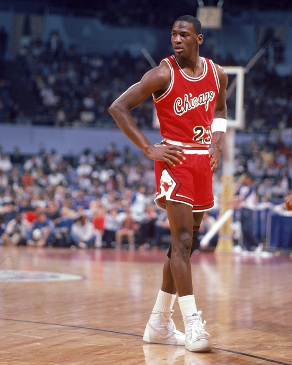 他们的回归 他们的回归