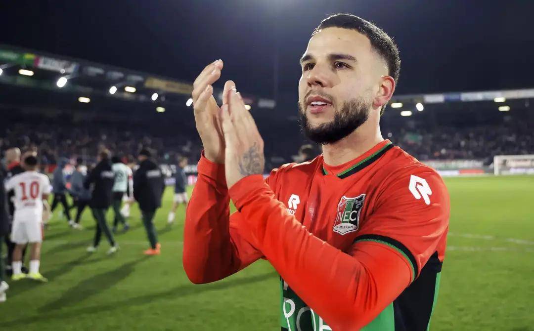 球迷口碑的 球迷口碑的